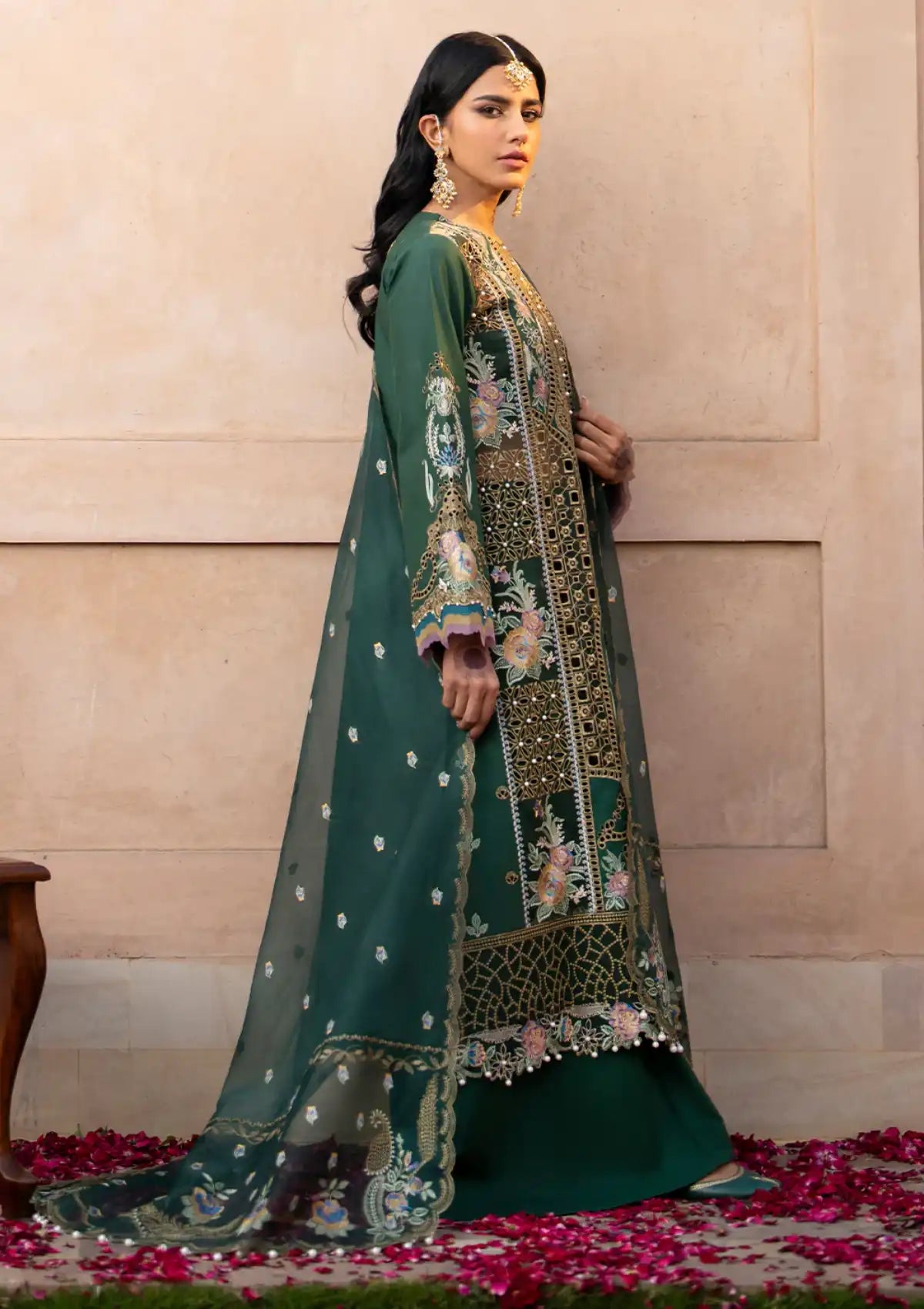 Bin Ilyas Dilbaro Festive Lawn'24 D-407A
