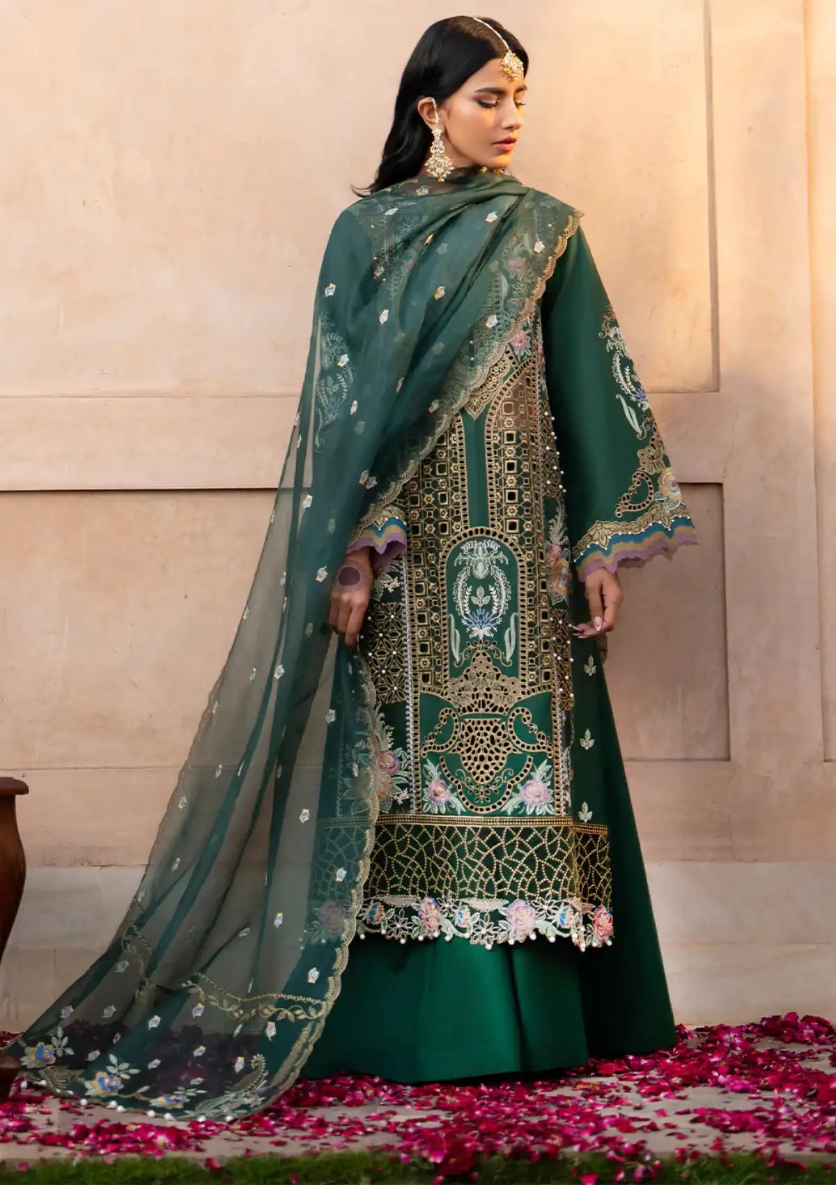 Bin Ilyas Dilbaro Festive Lawn'24 D-407A