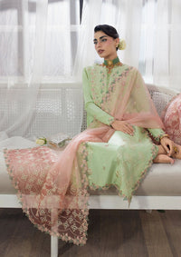 Rang Rasiya Lumeire Silk'26 D-09 Jazmin
