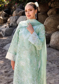 mohsin-saeed-fabrics-affordable-luxury-outfits-for-daily-formal-and-wedding-wear-This-product-is-from-farasha-aurea-eid-summer-lawn25-d-10-tulip-glow-is-available-on-Mohsin-saeed-fabrics-website.