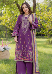 Peridot Emb Khaddaar'23 D-427-B - Mohsin Saeed Fabrics