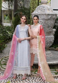 Noor Luxury Chikankari Lawn'24 D-07B - Mohsin Saeed Fabrics