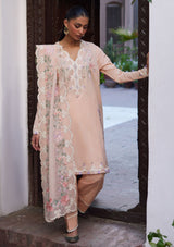 Zaha Festive'24 ZF-06 Shams - Mohsin Saeed Fabrics