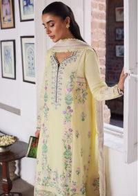 Zaha Festive'24 ZF-09 Lana - Mohsin Saeed Fabrics