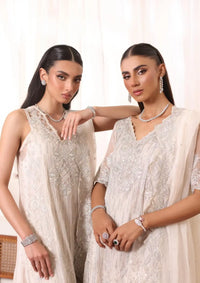 Noor by Saadia Asad Chiffon De Luxe'24 D-05 Seliel