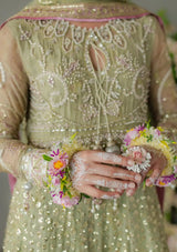 Mushq Mastani Evening Luxury Chiffon'25 NAMAR-10
