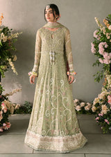 Mushq Mastani Evening Luxury Chiffon'25 NAMAR-10