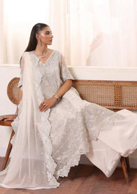 Noor by Saadia Asad Chiffon De Luxe'24 D-05 Seliel