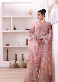 Noor by Saadia Asad Chiffon De Luxe'24 D-06 Vera