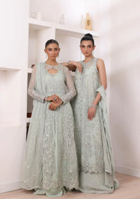 Noor by Saadia Asad Chiffon De Luxe'24 D-08 Sage