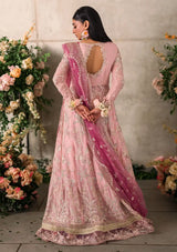 Mushq Mastani Evening Luxury Chiffon'24 MAISHA-03
