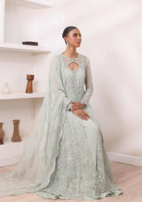 Noor by Saadia Asad Chiffon De Luxe'24 D-08 Sage