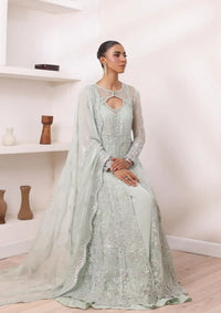 Noor by Saadia Asad Chiffon De Luxe'24 D-08 Sage