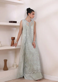 Noor by Saadia Asad Chiffon De Luxe'24 D-08 Sage