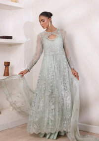 Noor by Saadia Asad Chiffon De Luxe'24 D-08 Sage