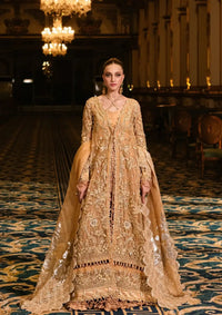 Parishay's Cinderella Chiffon Formals'24 AMBRE