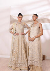 Noor by Saadia Asad Chiffon De Luxe'24 D-01 Nura