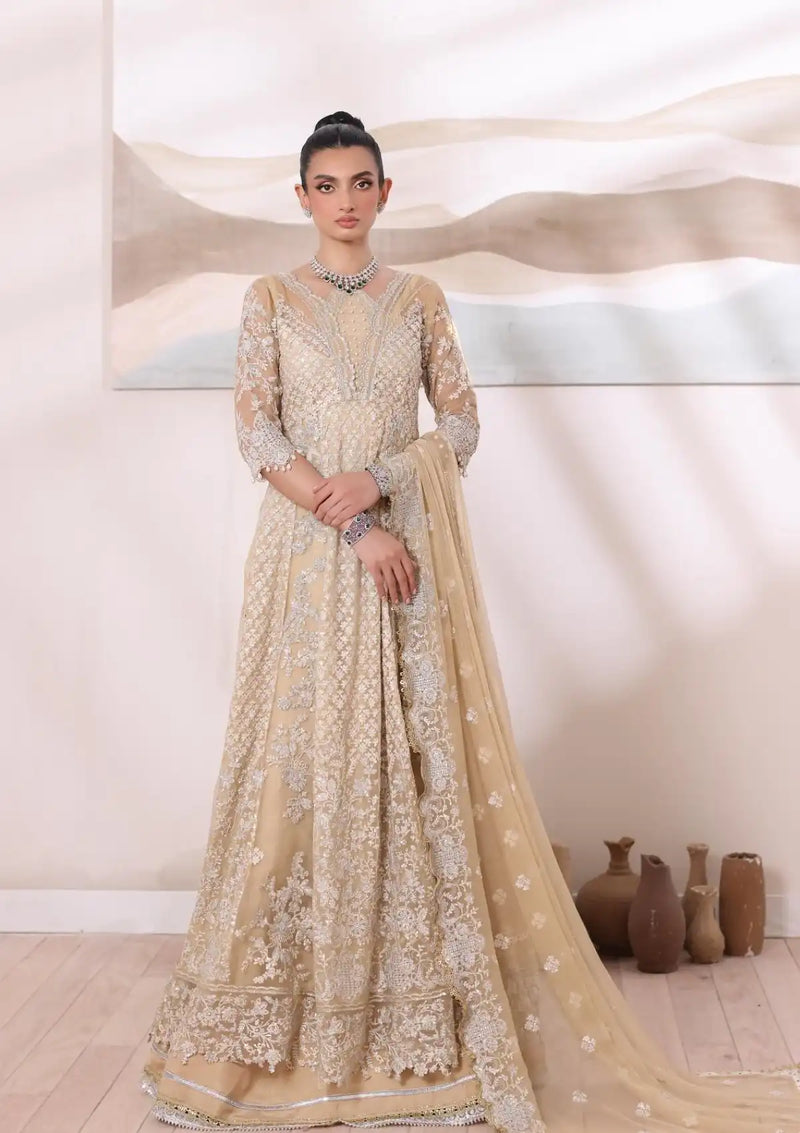 Noor by Saadia Asad Chiffon De Luxe'24 D-01 Nura