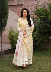Manara Vintage Karandi Fall'24 VK-02 MUSHK