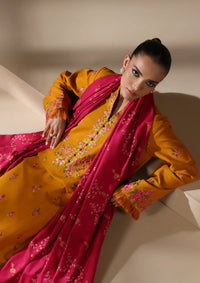 Rajbari Nissa Emb Shawl Edit'24 D-12