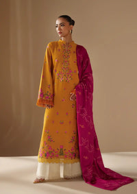 Rajbari Nissa Emb Shawl Edit'24 D-12