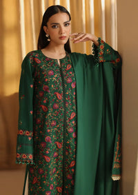 Rajbari Nissa Emb Shawl Edit'24 D-03