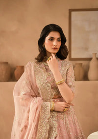 Ayzel Panache Wedding Formals'24 ALF-01 JELENA