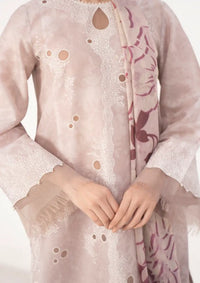 Delia By Jazmin'24 D-09 - Mohsin Saeed Fabrics