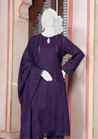 Pakeeza By ABC Chapter-2 Wool'25 D-02