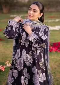 Alizeh Sheen Prints'24 Vol-02 AF-6023-CALLA