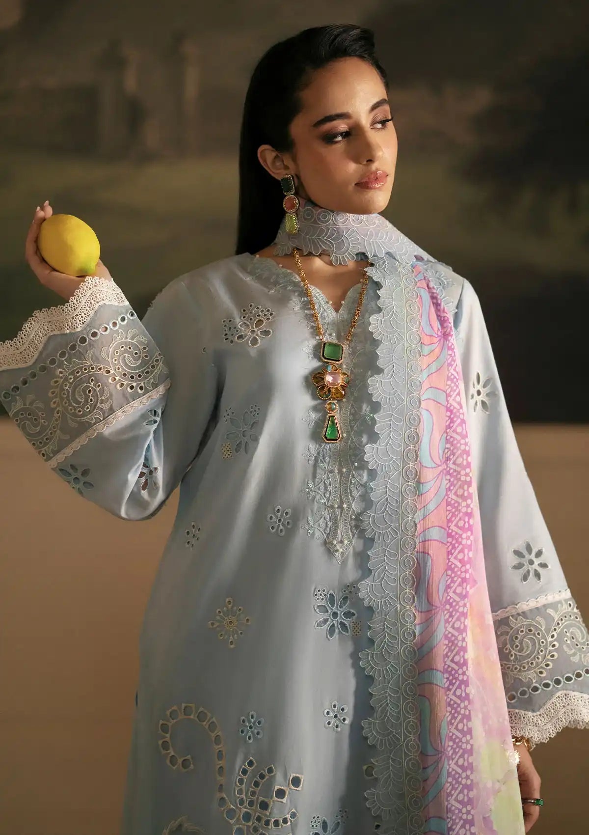 Nureh Maya Embroidered Lawn'24 NS-145 - Mohsin Saeed Fabrics