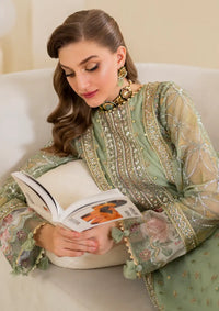 Iznik Chinon Chiffon'24 CC-41