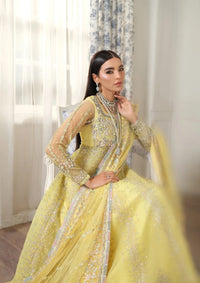 Maryam Hussain Meer Luxury Chiffon'26 D-03 Ghazal