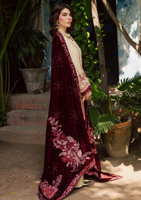 Nureh Exclusive Luxury Velvet Shawl'25 NE-181