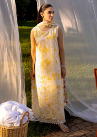 Neeshay Summer Lines Printkari'24 NP-08 Sunsplash - Mohsin Saeed Fabrics