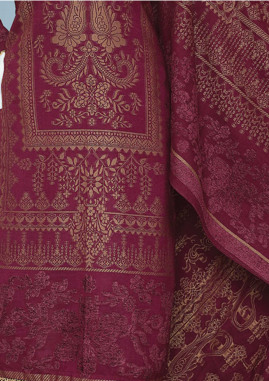 Pehnawa Printed Winter'24 D-82625
