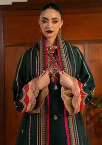 Bin Ilyas Gulrukh Winter Khaddar'25 D-64-B