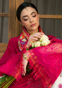 Bin Ilyas Gulrukh Winter Khaddar'25 D-66-B