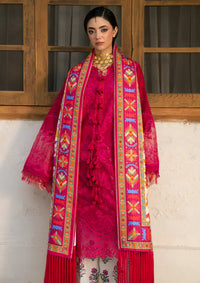 Bin Ilyas Gulrukh Winter Khaddar'25 D-66-B