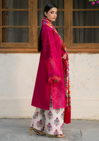 Bin Ilyas Gulrukh Winter Khaddar'25 D-66-B