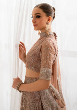 Iznik Chinon Chiffon'25 CC-43