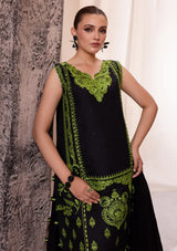 Parishay Regalia Festive Summer'24 RL-09 - Mohsin Saeed Fabrics