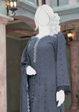 Pakeeza By ABC Chapter-2 Wool'25 D-03