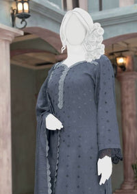 Pakeeza By ABC Chapter-2 Wool'25 D-03