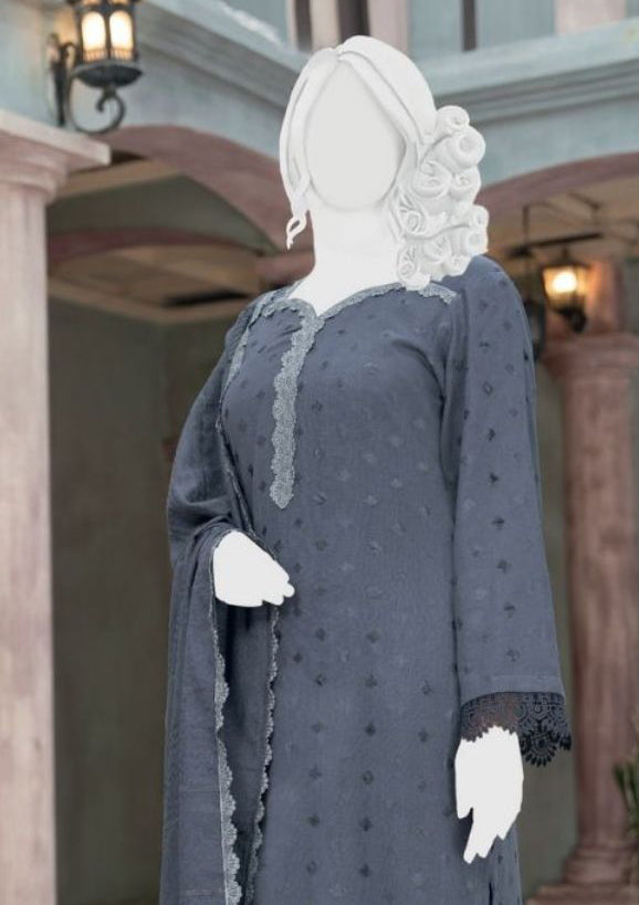 Pakeeza By ABC Chapter-2 Wool'25 D-03