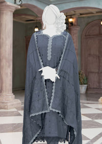 Pakeeza By ABC Chapter-2 Wool'25 D-03