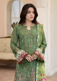 Johra Lisha Winter'25 JW-412