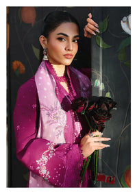 Qalamkar Qprint'25 QW-01 B Joris