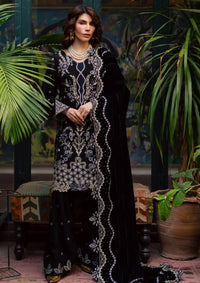 Nureh Exclusive Luxury Velvet Shawl'25 NE-185