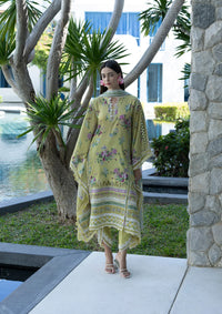 Elaf Santorini Prints Vol-1'26 EPN-4A AVOCADO